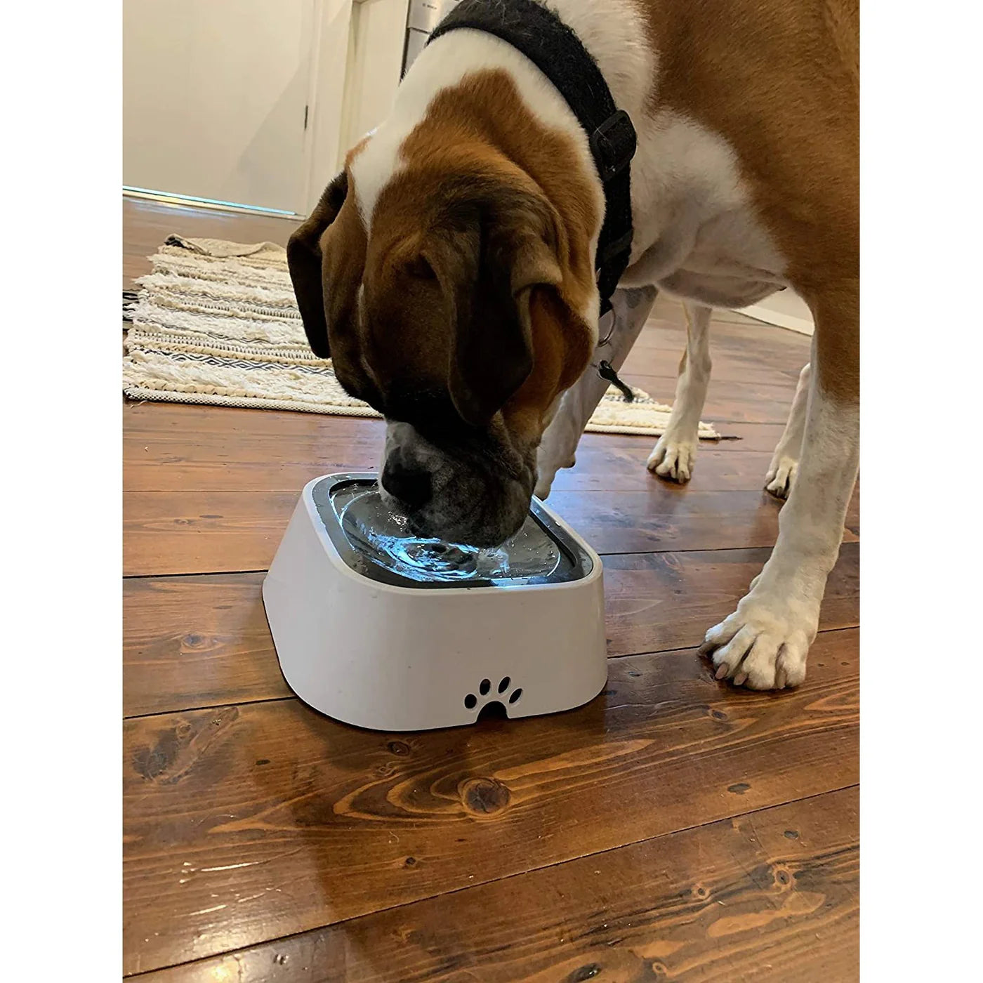 SlurpBuddy Okos Itató